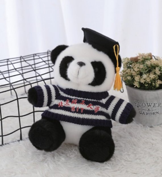 北京理工大学（博士熊猫系列）